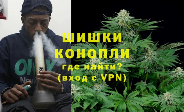 амф Богородск