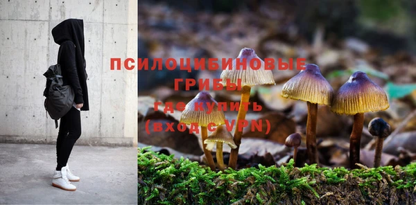 героин Богородицк