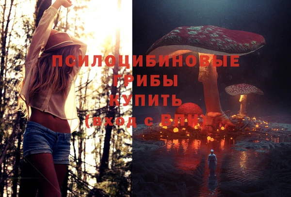 героин Богородицк